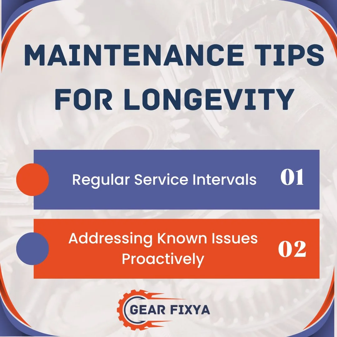 Maintenance Tips for Longevity