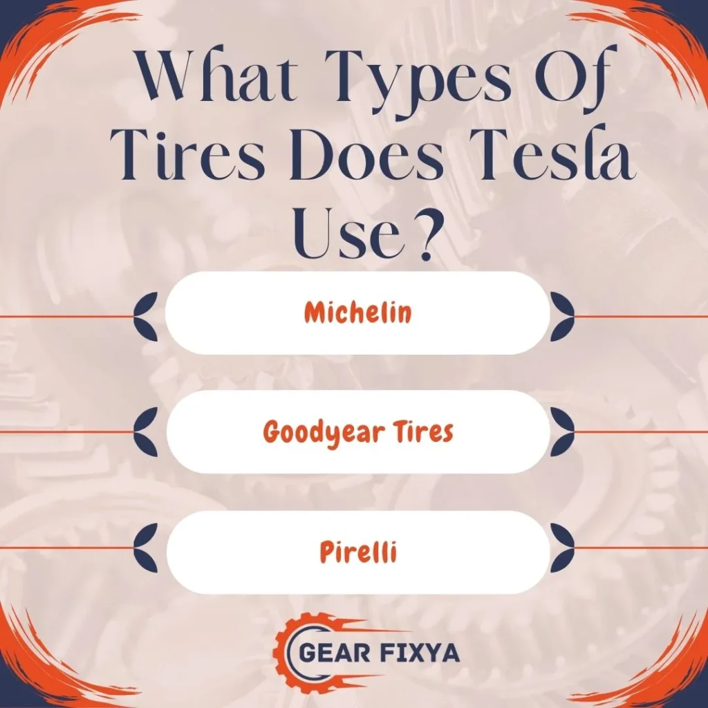 What Types Of Tires Does Tesla Use